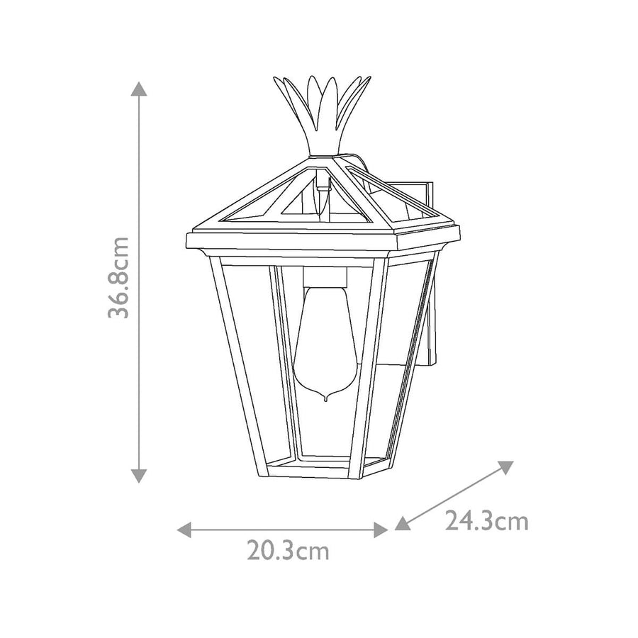 Schéma coté montrant hauteur 36,8 cm et profondeur 24,3 cm