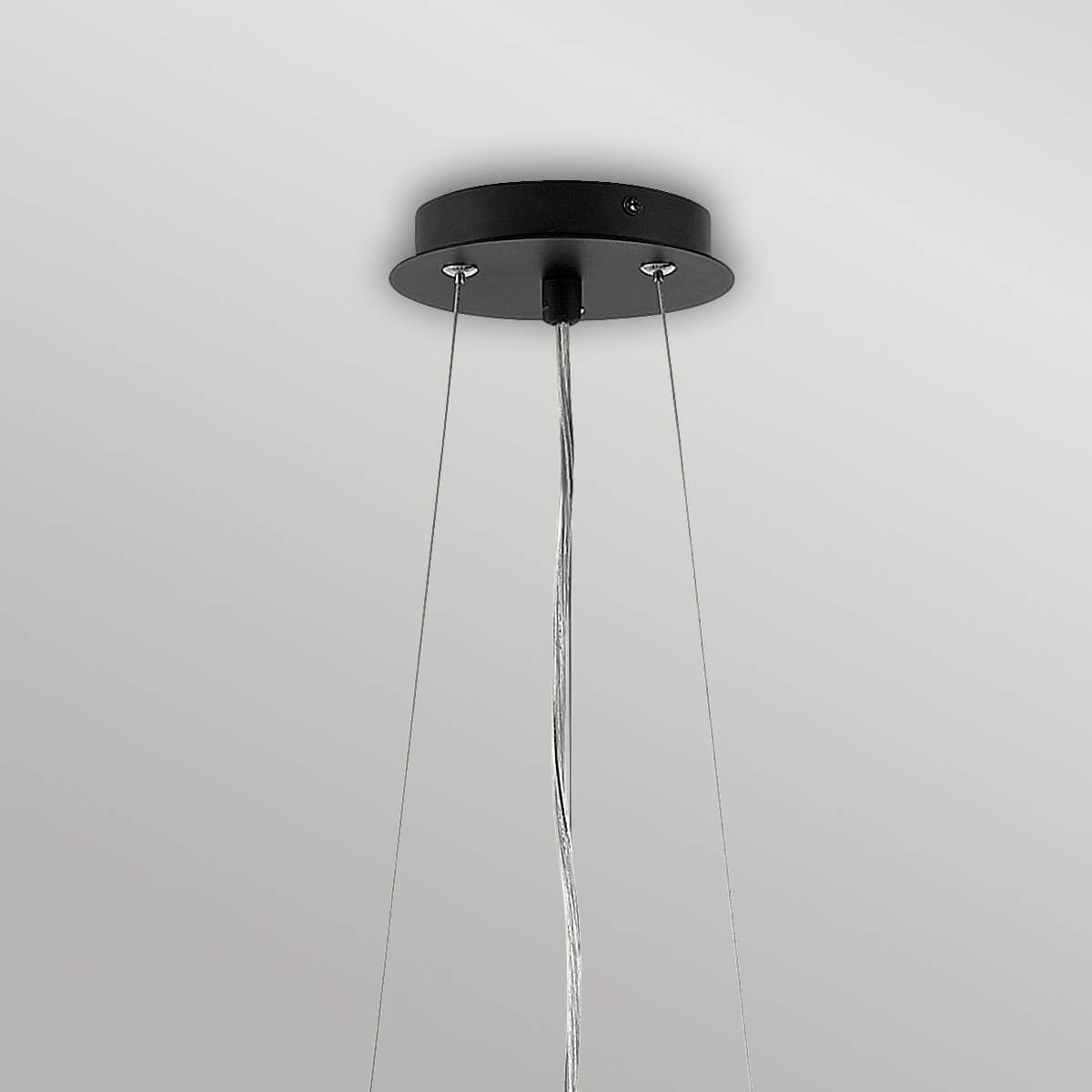 Gros plan sur la rosace de plafond noire et ses câbles.