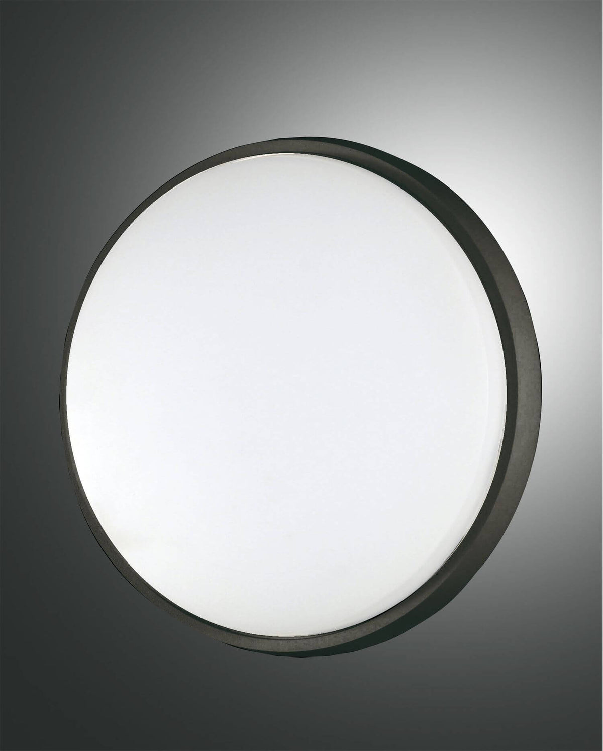 Vue de face du plafonnier rond à cerclage noir et diffuseur blanc opalin
