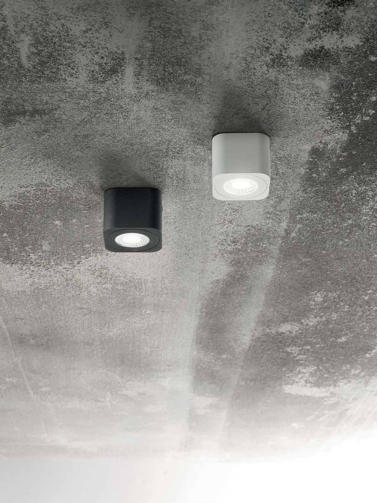 Deux spots fixés au plafond béton gris, versions anthracite et blanche