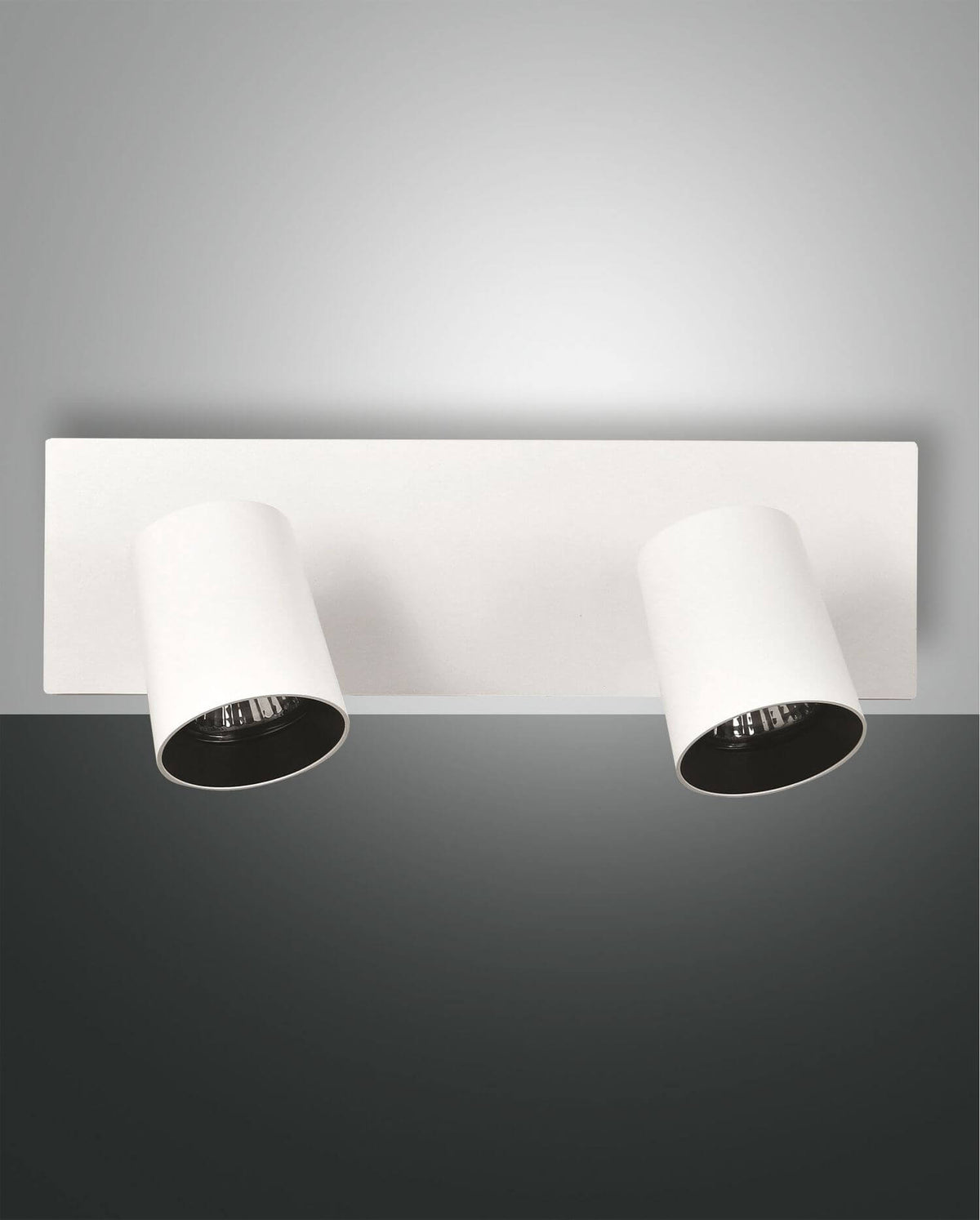 Spot blanc deux lumières vu de face, projecteurs cylindriques orientables sur platine rectangulaire