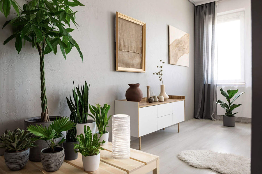 Lampe blanche posée sur table en bois dans un salon avec plantes
