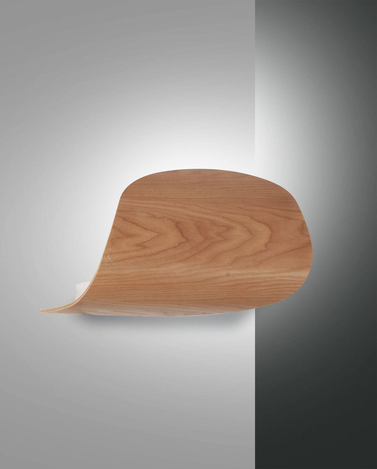 Applique murale en bois courbé vue de face sur fond gris clair, éclairage indirect
