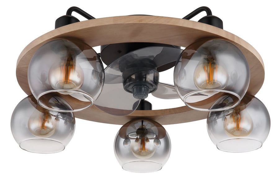 Ventilateur de plafond lumineux Lamotta noir mat