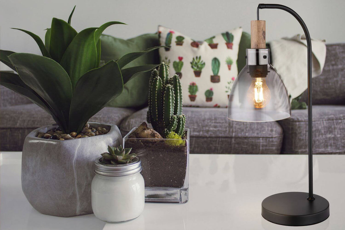 Mise en ambiance sur table basse avec plantes grasses, cactus et canapé gris