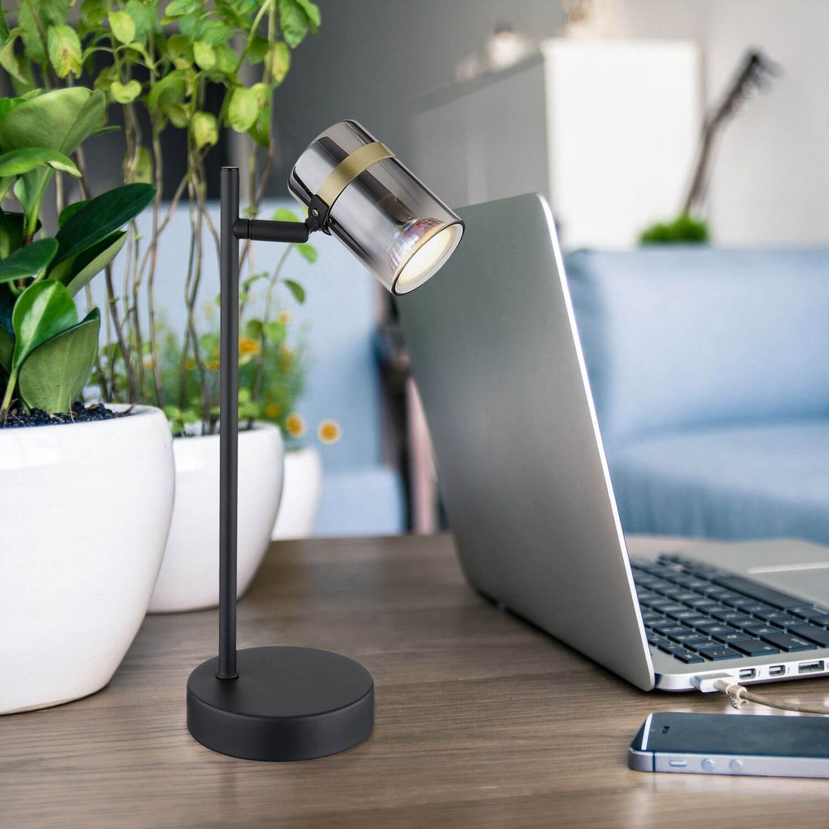 Mise en ambiance sur un bureau en bois avec ordinateur portable et plantes