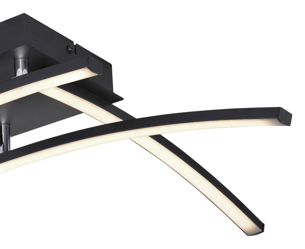 Gros plan sur la finition noir mat et le diffuseur LED blanc laiteux