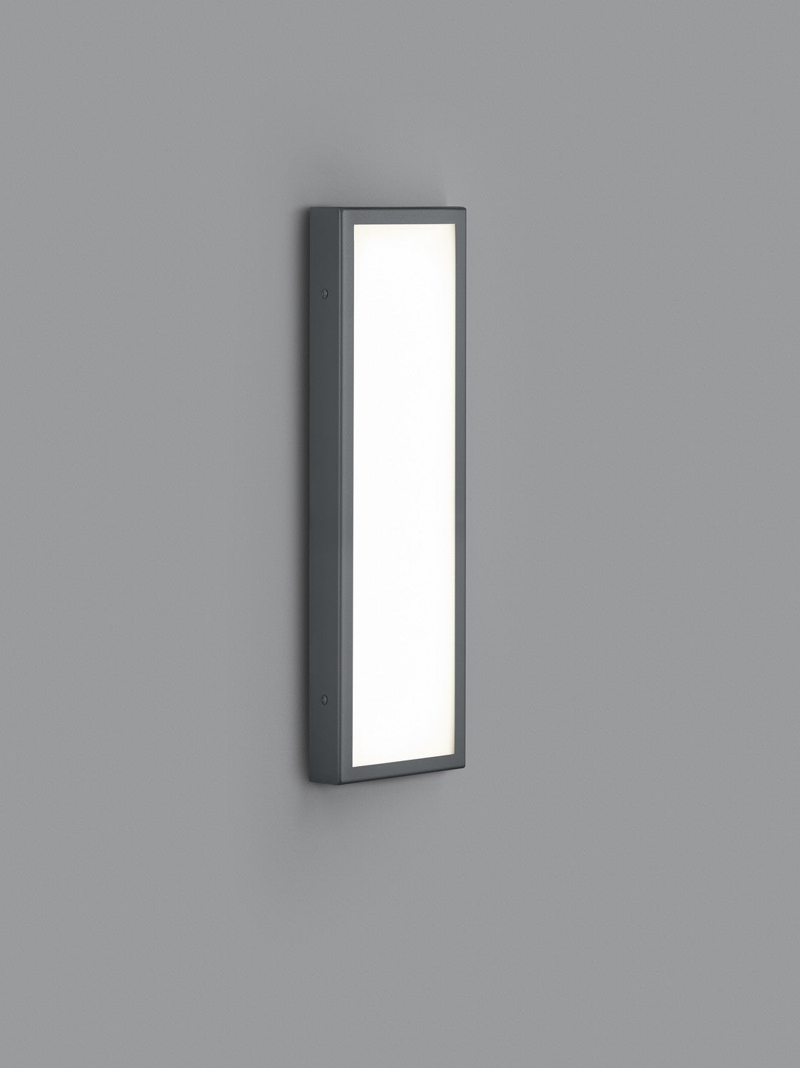 Applique extérieure Scala anthracite, L 45,5 cm