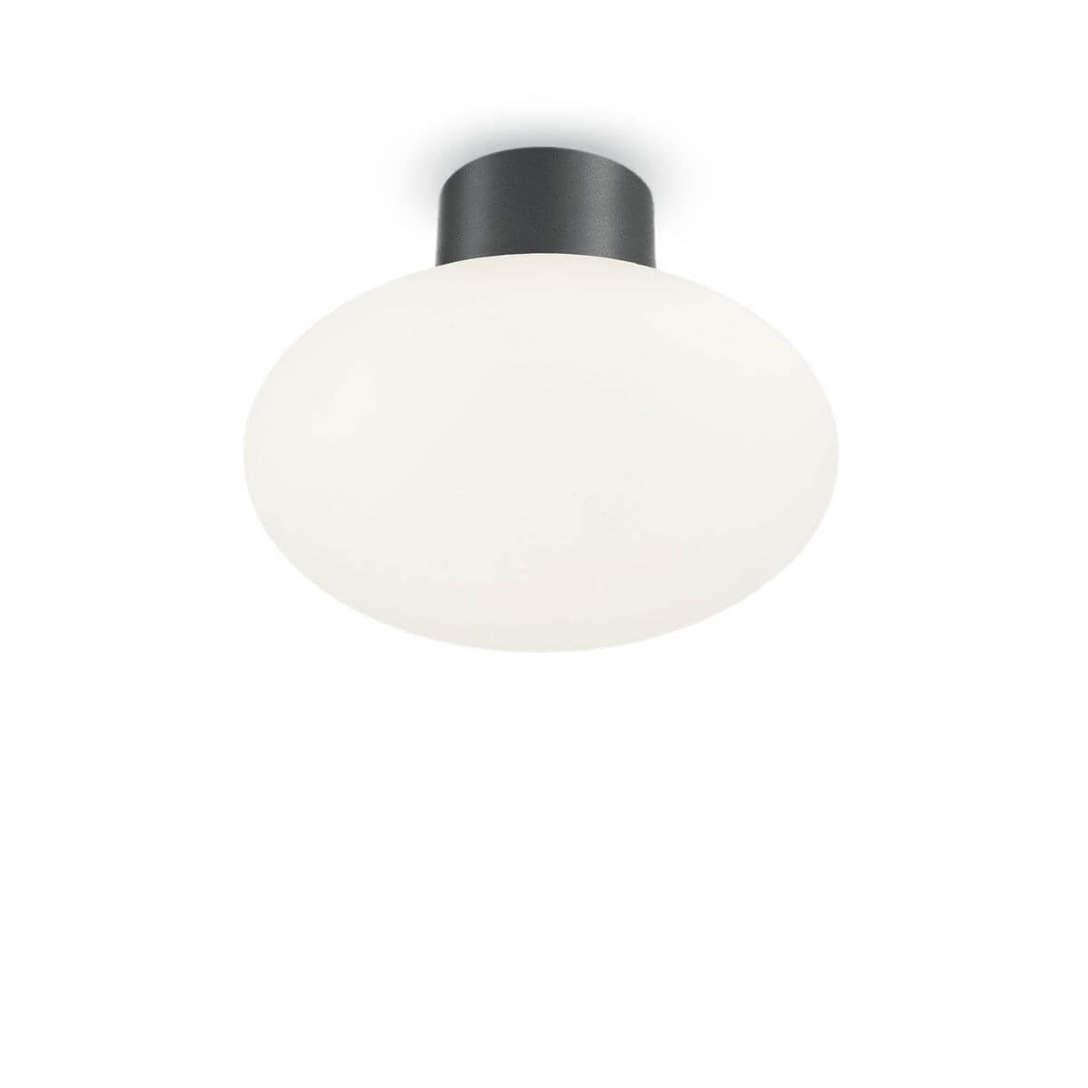 Vue de face du plafonnier blanc et anthracite sur fond neutre