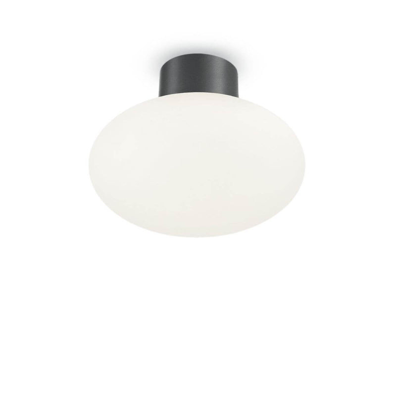 Luminaire extérieur | Zendorina