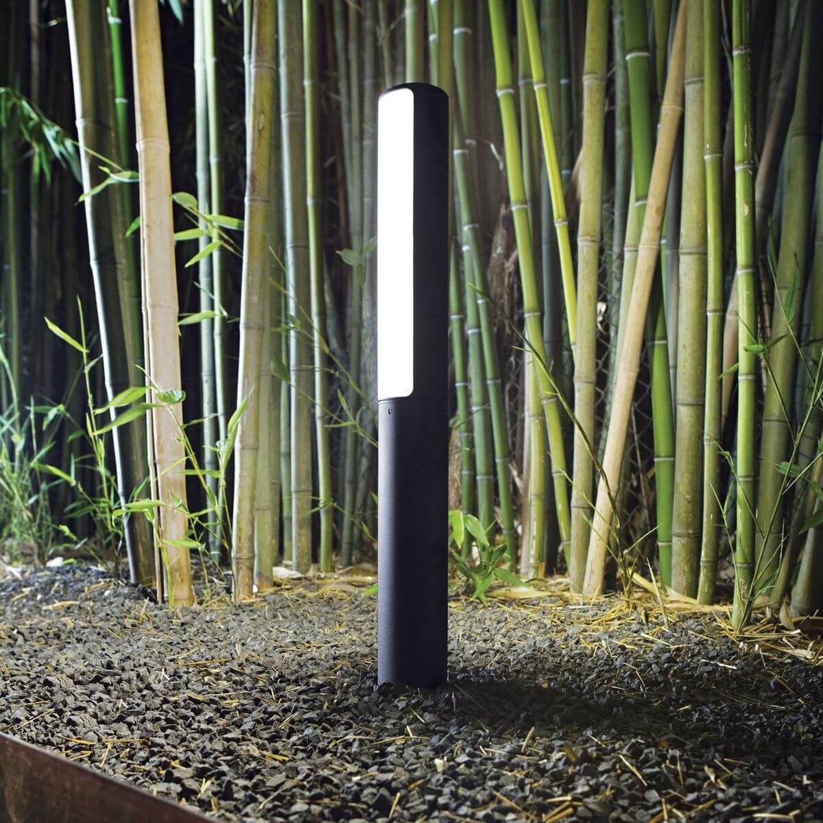 Mise en ambiance du lampadaire planté au sol devant une bambouseraie, éclairage vertical
