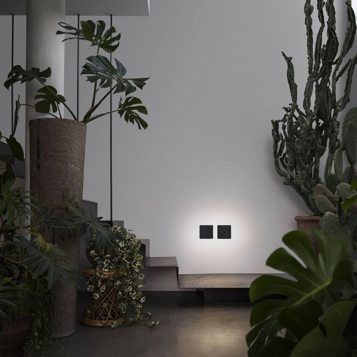Mise en ambiance : deux appliques murales allumées éclairant un mur près d'un escalier et de plantes