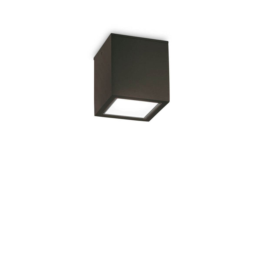 Plafonnier extérieur noir carré, verre dépoli, vue de trois quarts sur fond blanc