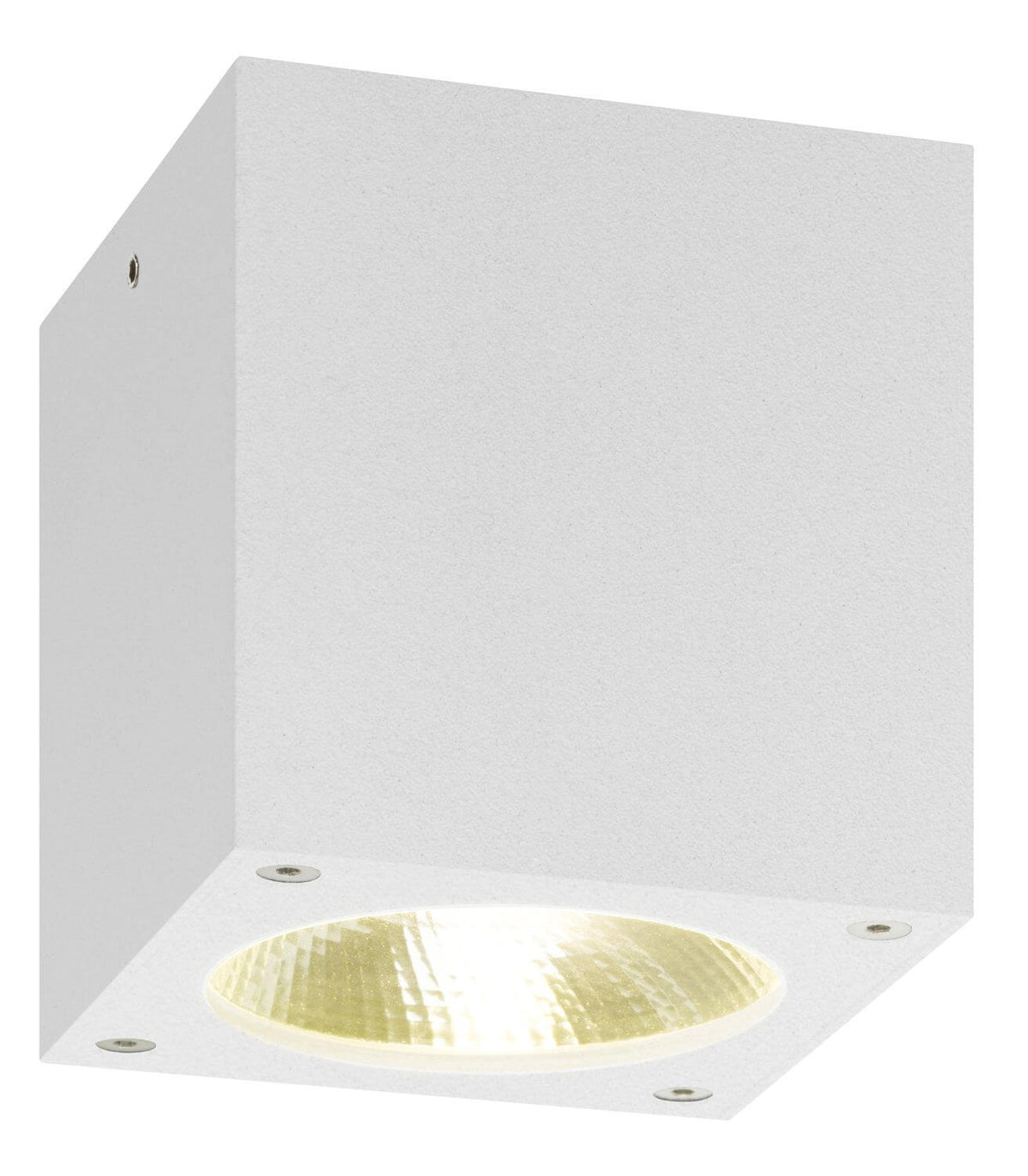 Plafonnier extérieur blanc (5029)