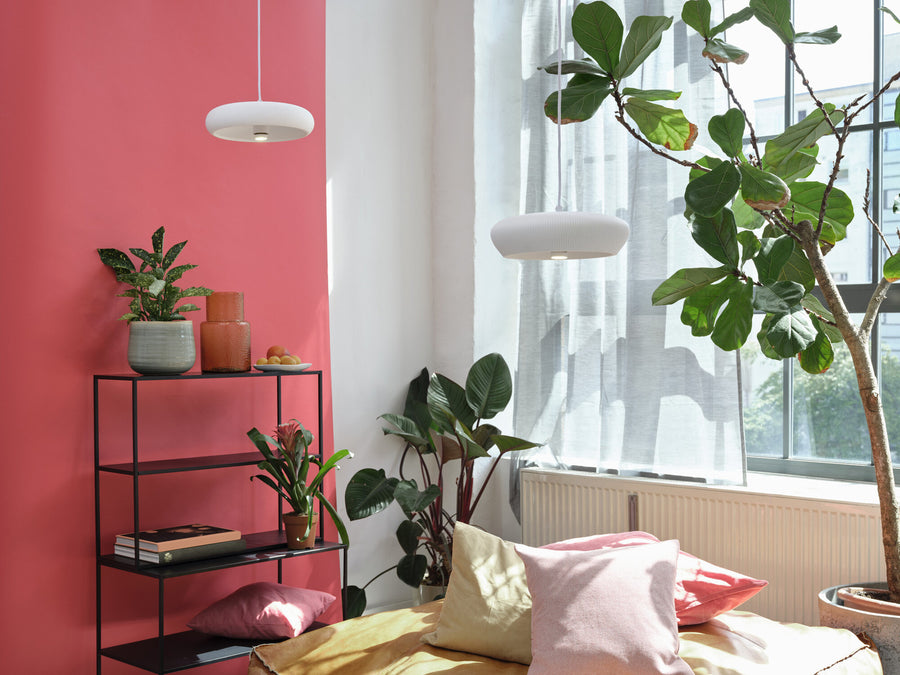 Mise en scène dans une chambre colorée avec deux suspensions, plantes vertes et lumière du jour.