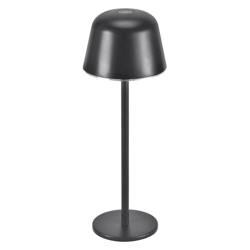 Lampe extérieure Endura Style anthracite et aluminium