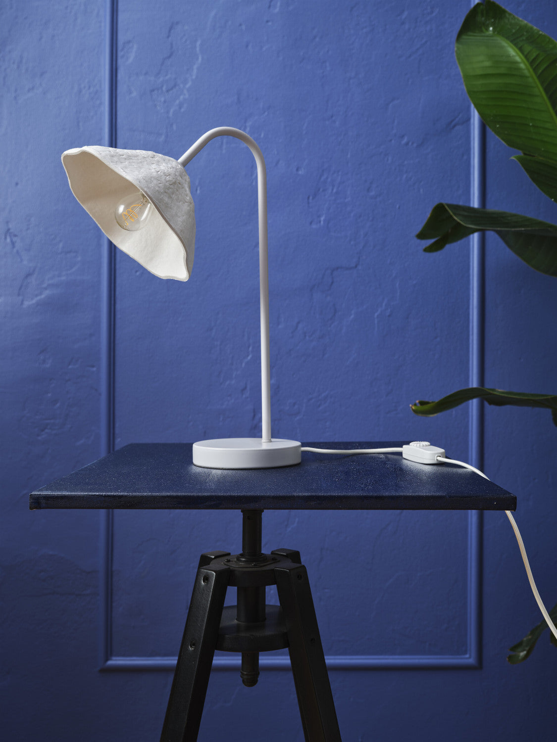 Lampe blanche sur table noire avec plante verte, mur bleu et interrupteur sur cordon.