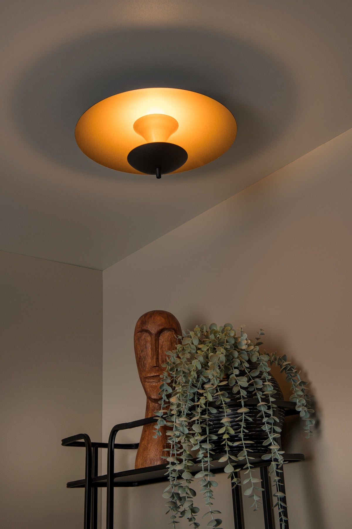 Mise en ambiance : plafonnier allumé au-dessus d'une étagère avec plante