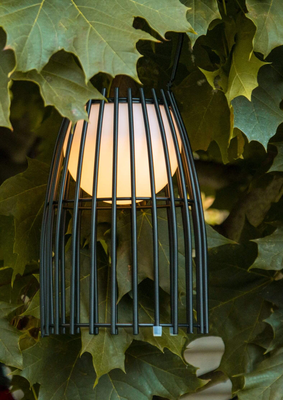 Lampe noire suspendue dans le feuillage, sphère lumineuse allumée, vue en contre-plongée.