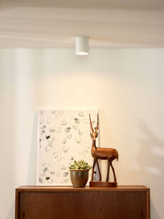 Luminaire plafonnier | Bodi Blanc