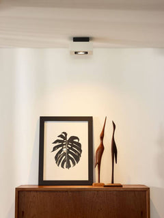 Luminaire plafonnier | Xirax Blanc