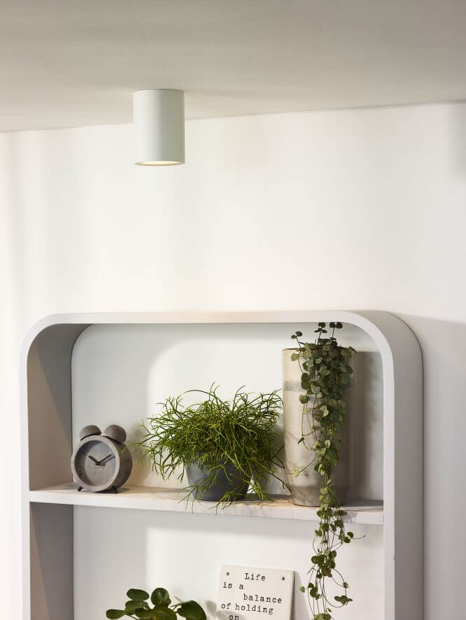 Plafonnier blanc cylindrique installé au plafond, au-dessus d'une étagère avec plantes et réveil.