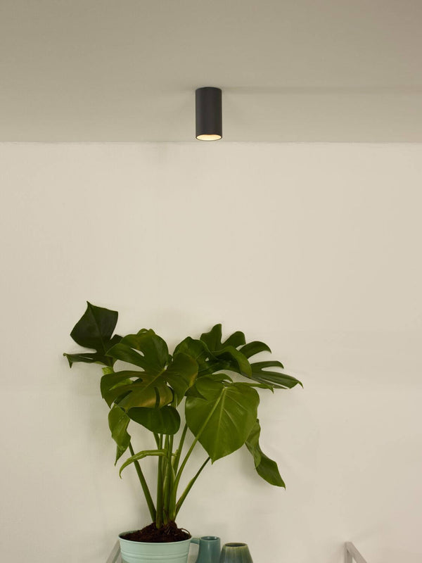 Luminaire plafonnier | Delto Gris