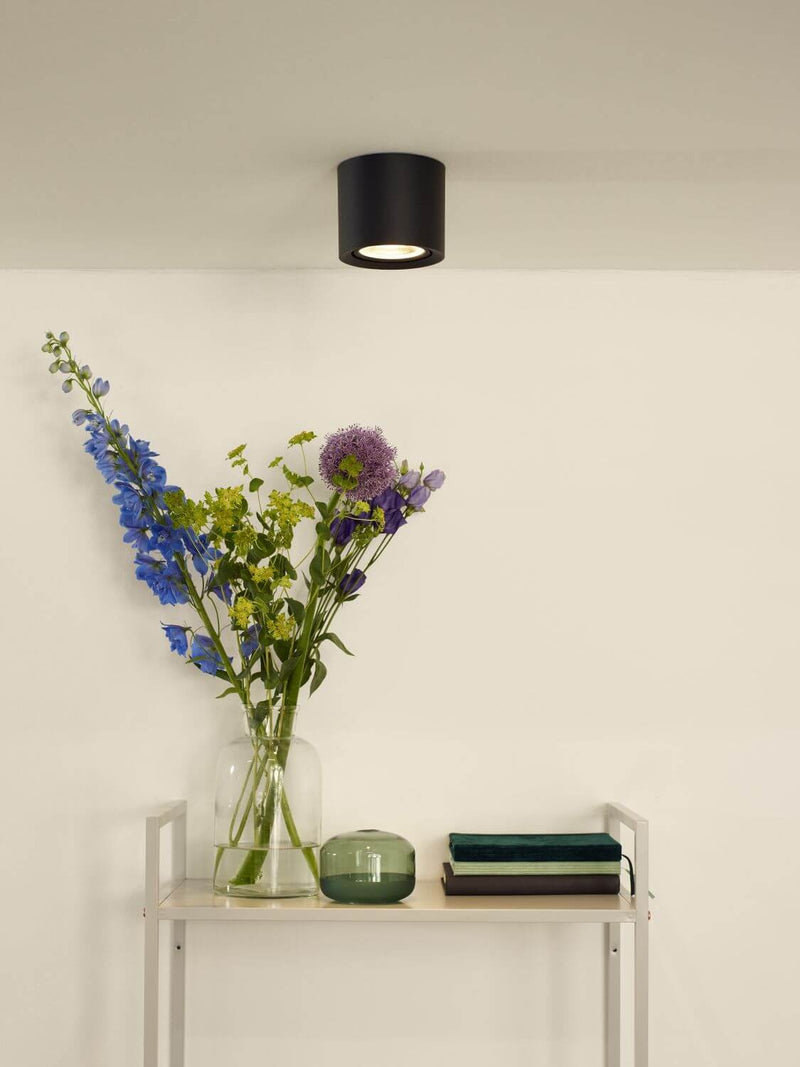 Luminaire plafonnier | Fedler