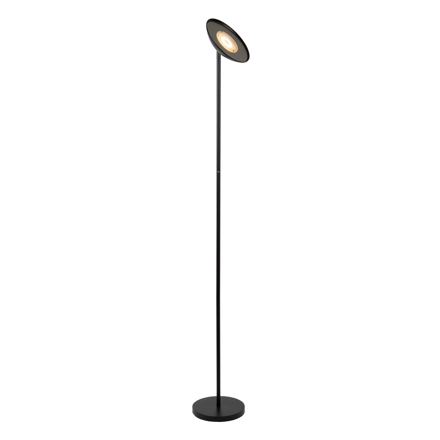 Lampadaire noir incliné vers le bas, tête orientable éclairant le sol