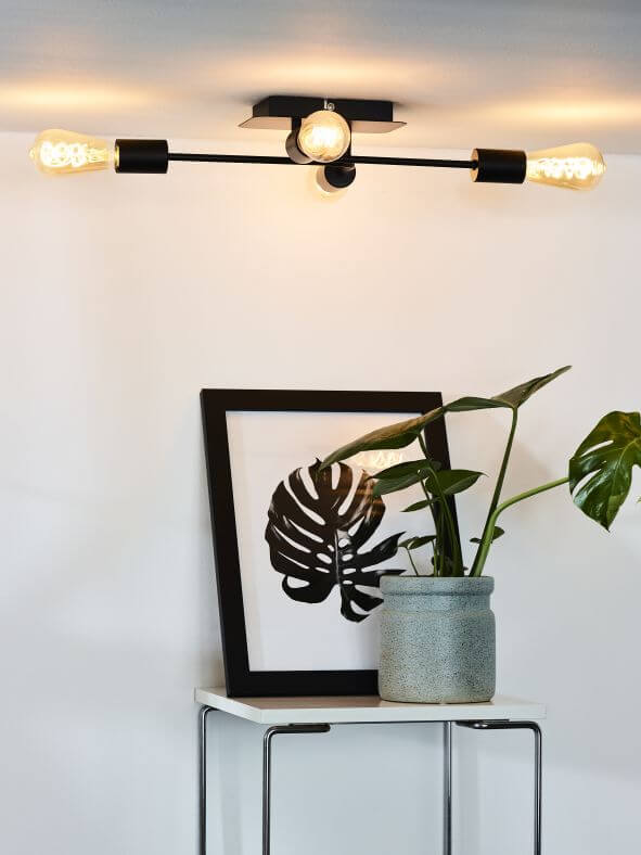 Plafonnier noir fixé au plafond au-dessus d'une plante verte et d'un cadre