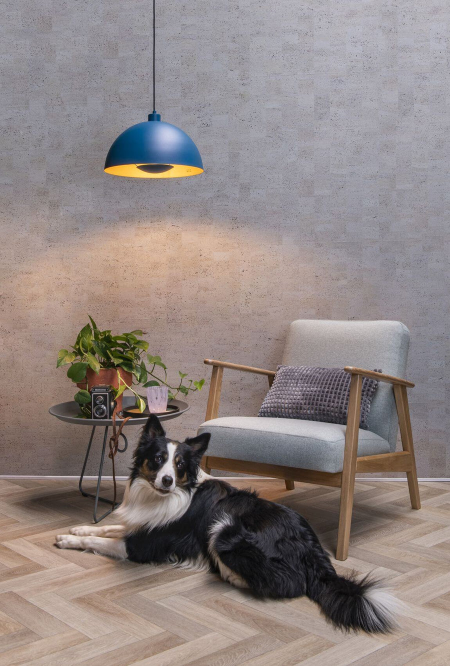 Scène de vie avec un chien couché sur un parquet en chevrons sous la suspension