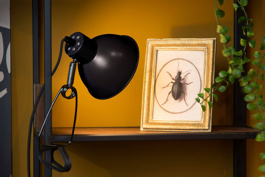 Vue rapprochée du luminaire noir à côté d'un cadre entomologique et d'une plante verte