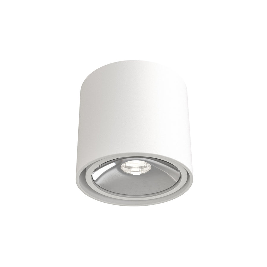 Spot plafond Neo orientable, 8 W