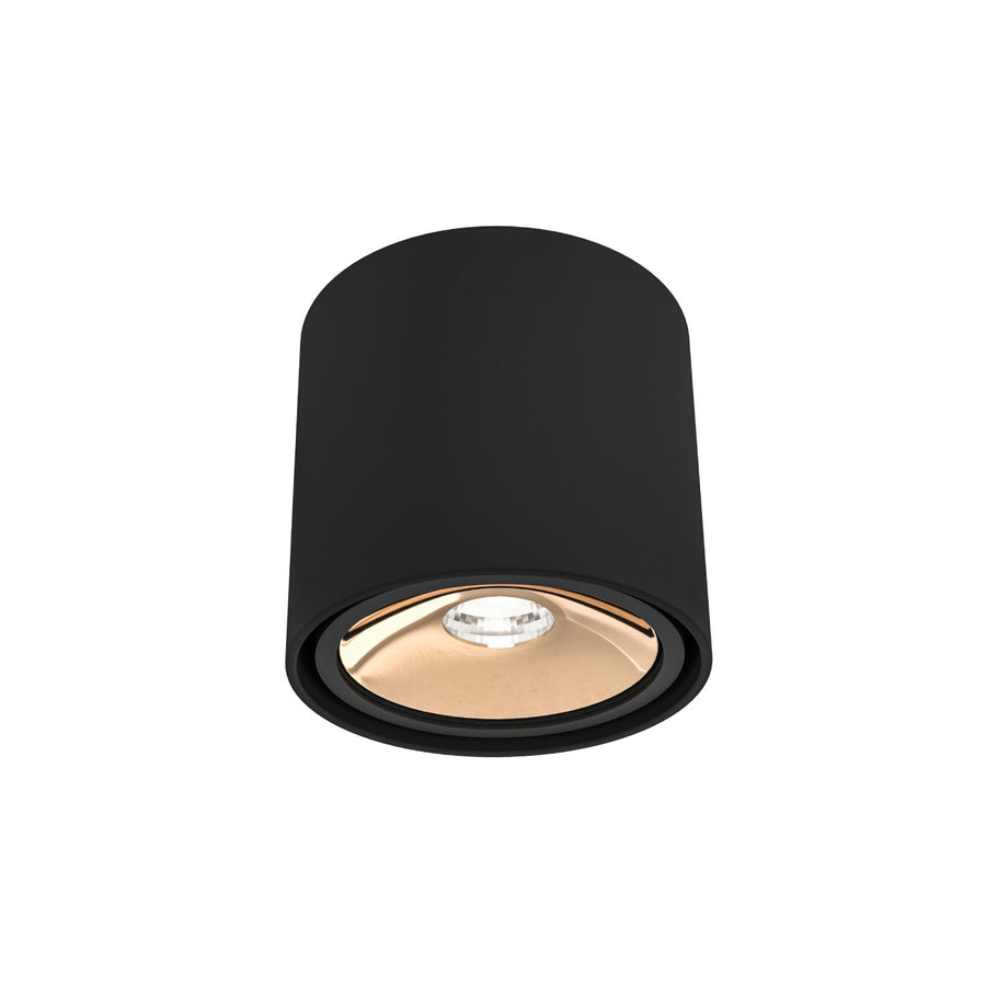 Spot plafond Neo orientable, 8 W