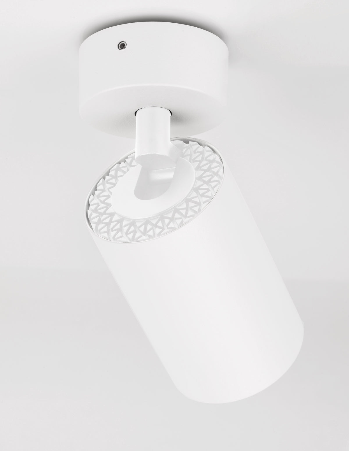 Détail de la rotule et de la couronne crantée, spot blanc fortement incliné