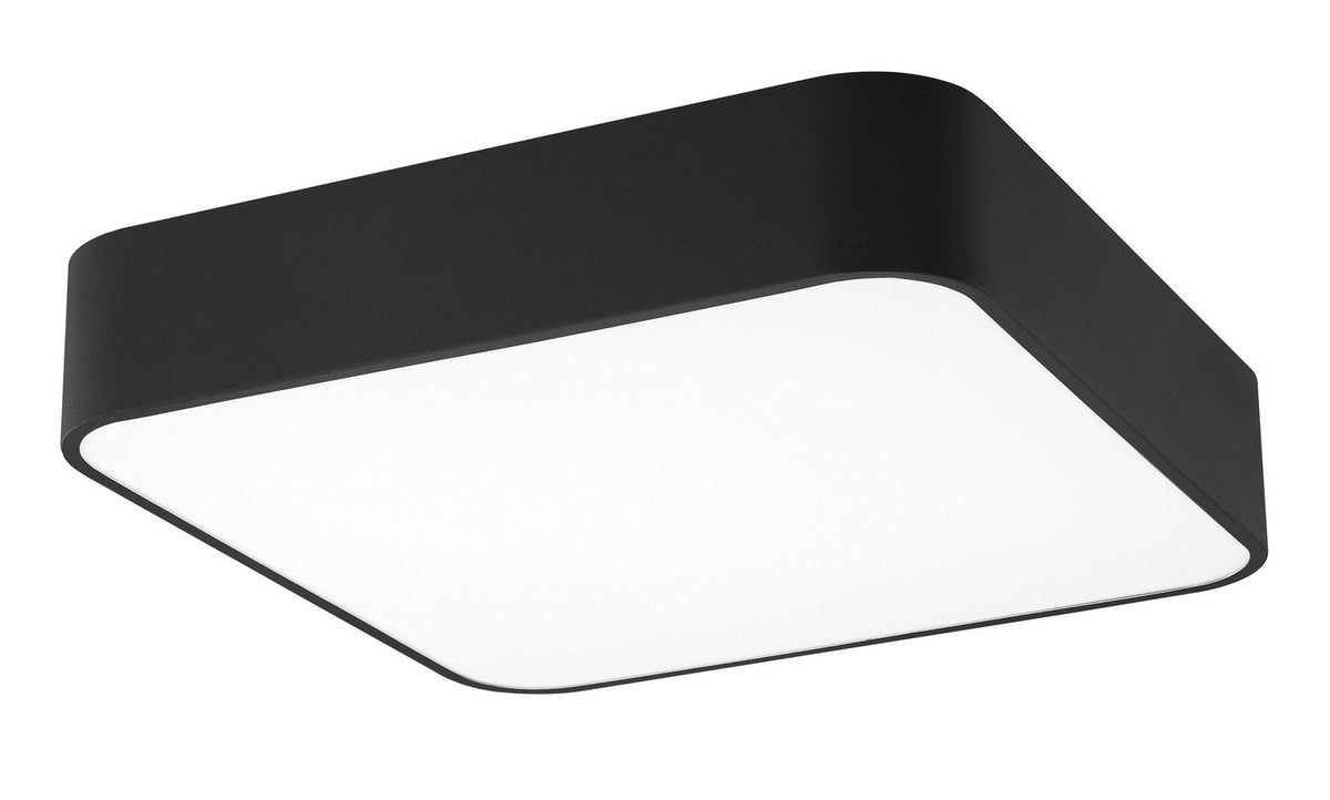 Vue rapprochée du plafonnier sur fond blanc, montrant la finition noire mate et le diffuseur