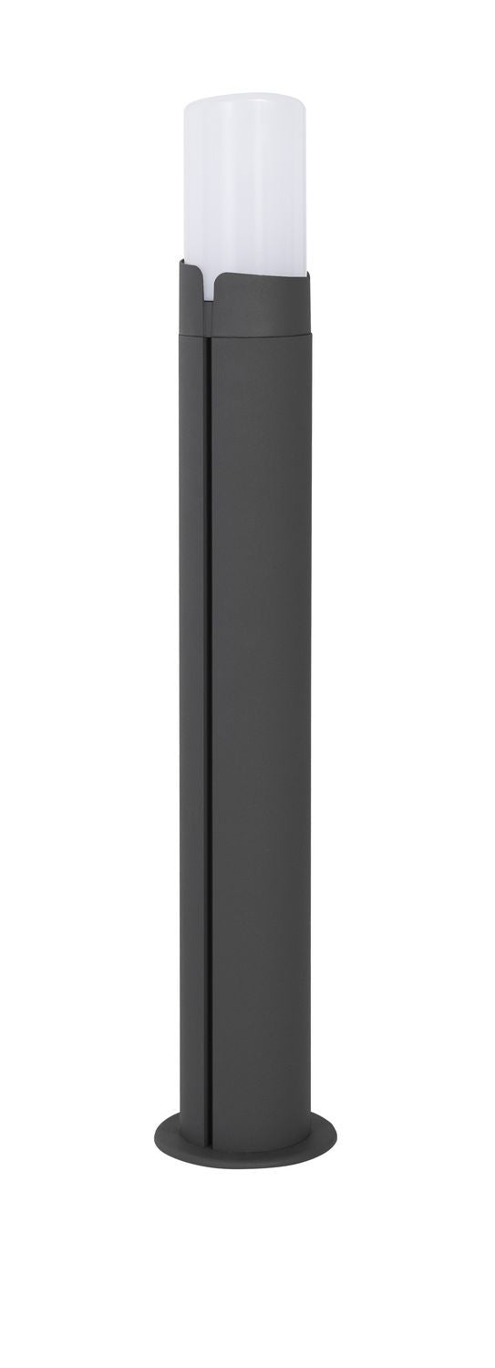 Borne lumineuse grise verticale avec diffuseur blanc, photographiée de face sur fond blanc.