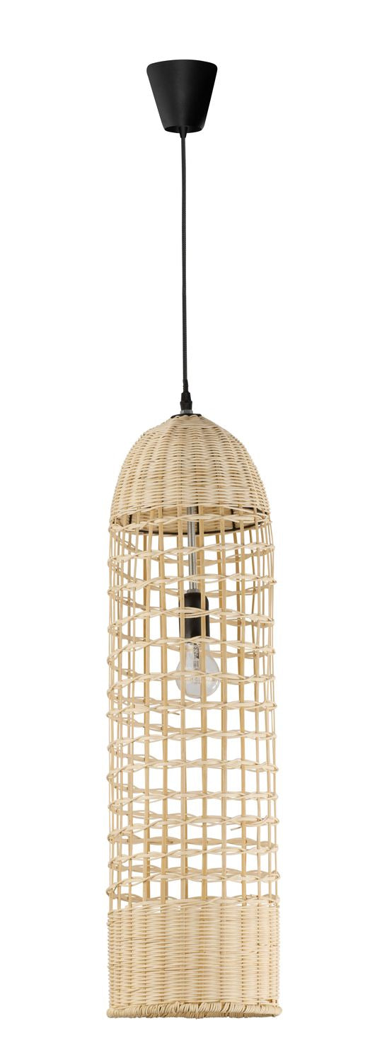 Vue de face sur fond blanc du luminaire entier avec câble noir
