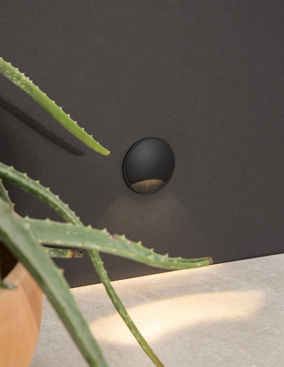 Détail de l'applique fixée sur un mur sombre, près d'une plante grasse