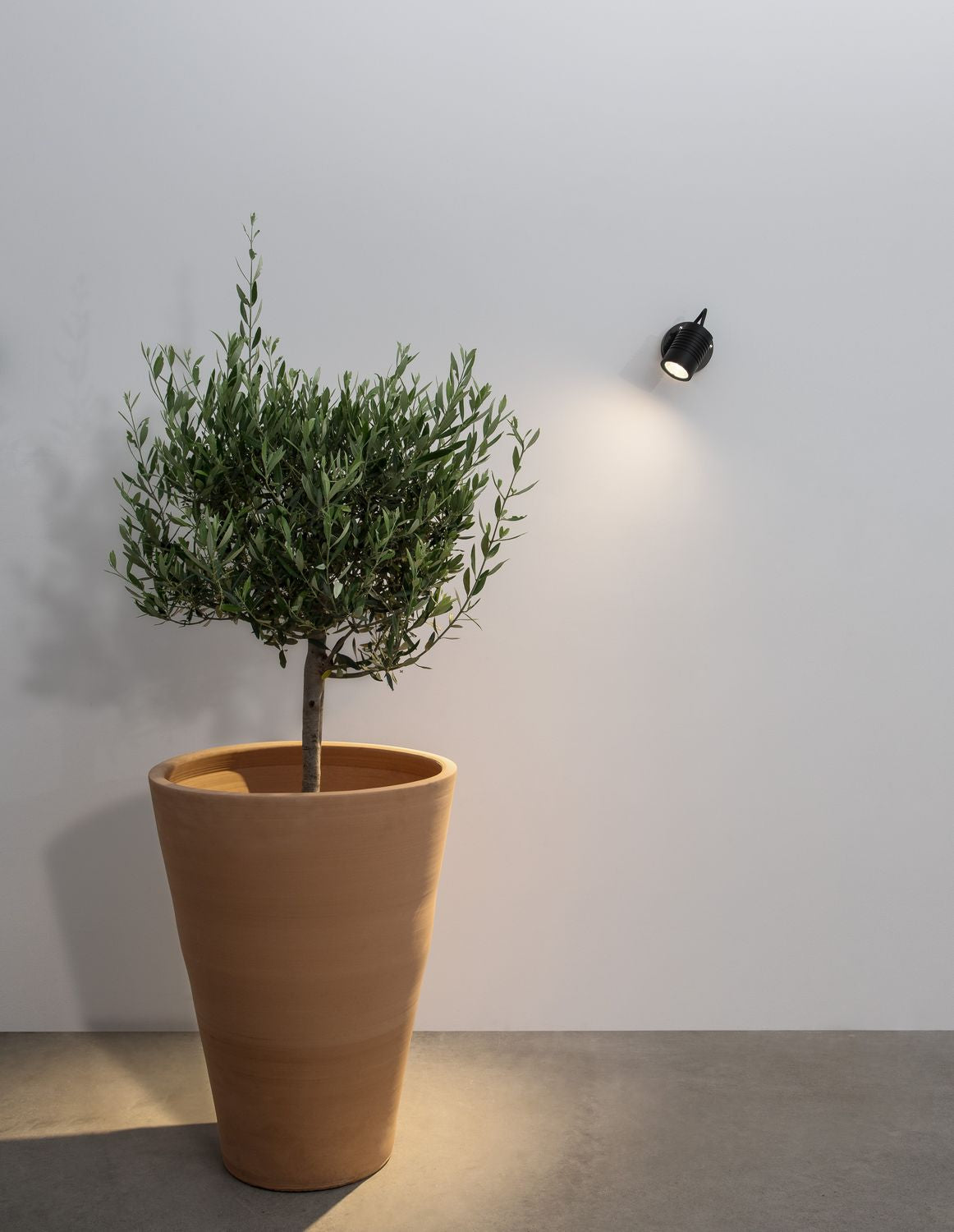Mise en ambiance extérieure, applique noire au mur près d'un olivier en pot