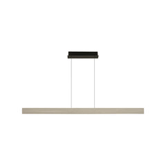 Suspension luminaire | Dual