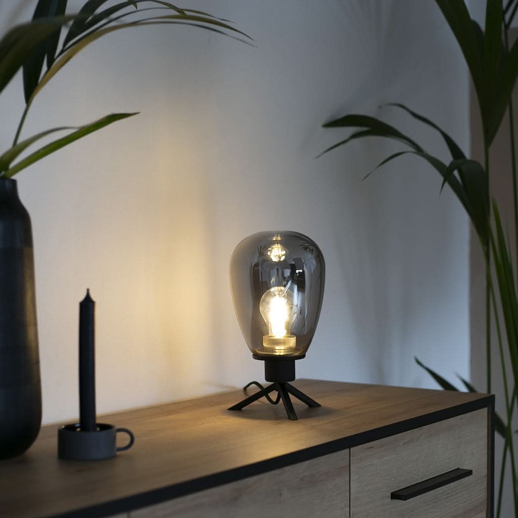 Ambiance sombre avec lampe allumée sur commode en bois et grande plante verte.