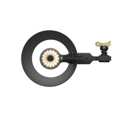Applique murale LED Bolt10