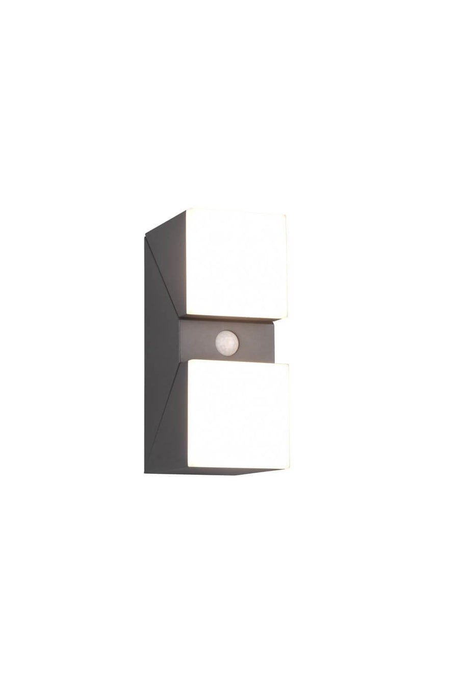 Face du boîtier rectangulaire anthracite avec diffuseurs opalins et détecteur central.