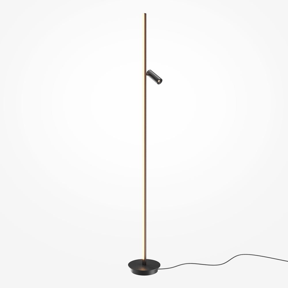 Lampadaire noir de face, tige fine et projecteur orientable, câble au sol