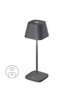 Luminaire extérieur | Neapel Anthracite