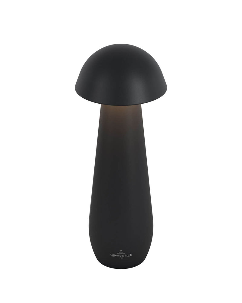 Luminaire extérieur | Modena Noire L 21 cm
