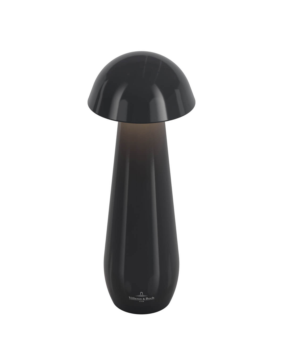Lampe extérieure Modena noire, L 21 cm (97298)