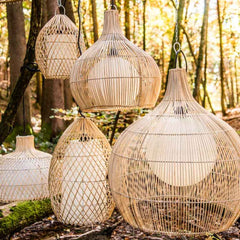 Weidenlampe