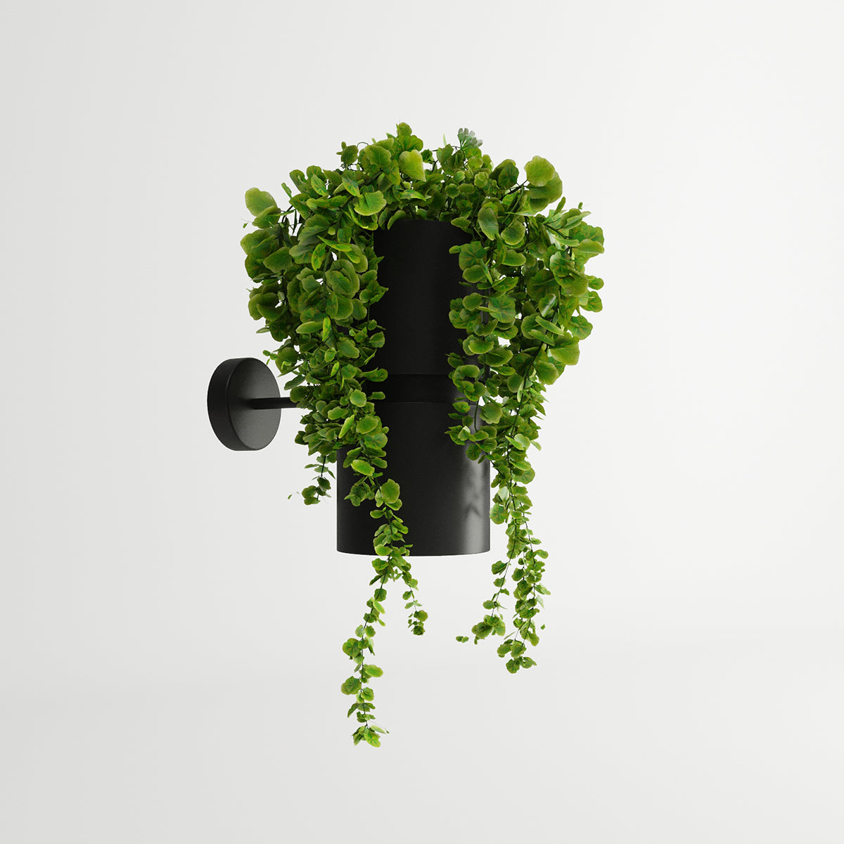 Vue de face, plante retombante verte masquant partiellement le corps cylindrique noir